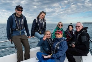 Safári marítimo com baleias em Sydney