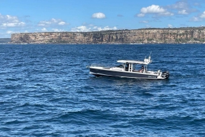 Hvaler i Sydney Sea Safari