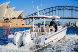 Safári marítimo com baleias em Sydney