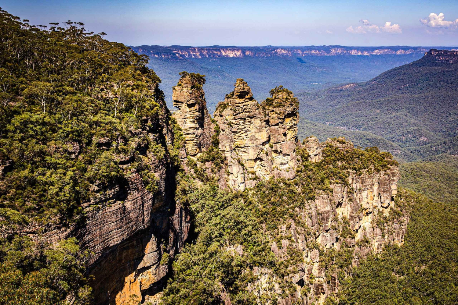 Wild Kangaroos & Blue Mountains yksityinen retki