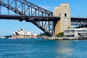Wild Kangaroos & Blue Mountains yksityinen retki