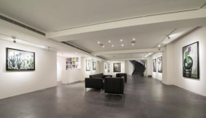Asia Art Center
