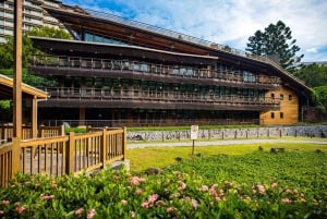 From Taipei: Beitou & Yangmingshan Private Day Tour