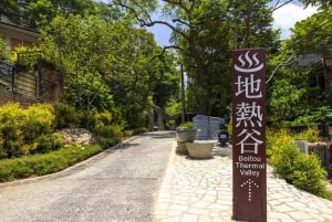 From Taipei: Beitou & Yangmingshan Private Day Tour