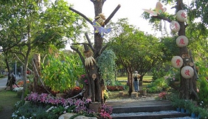 Daan Forest Park