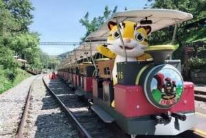 Avreise fra Taipei eller Taichung: Dyptgående reise i Miaoli