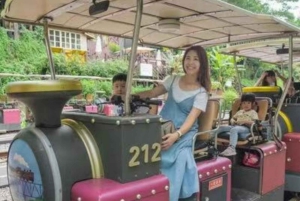 Avreise fra Taipei eller Taichung: Dyptgående reise i Miaoli