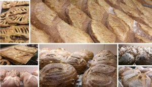 Florida Bakery