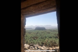 From Jeddah or Mecca: AlUla 2-Day Private Trip with Farm …