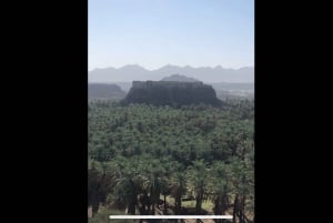 From Jeddah or Mecca: AlUla 2-Day Private Trip with Farm …