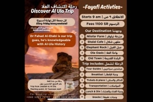 From Jeddah or Mecca: AlUla 2-Day Private Trip with Farm …