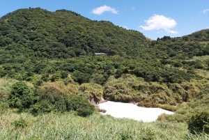 Fra Taipei: Dagstur til Beitou og Yangmingshan Nationalpark