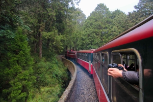 Från Taipei: Klassisk och naturskön privat 5-dagars tur i Taiwan