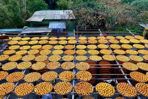From Taipei: Hsinchu Fall Farm Tour with Harvest Experience