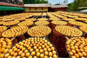 From Taipei: Hsinchu Fall Farm Tour with Harvest Experience