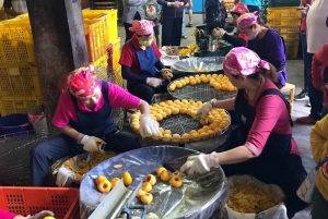 From Taipei: Hsinchu Fall Farm Tour with Harvest Experience