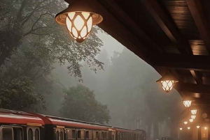 Fra Taipei eller Taichung: 2-dages tur til Alishan og Sun Moon Lake