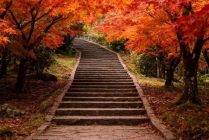 Fra Taipei eller Taichung: 2-dages tur til Alishan og Sun Moon Lake