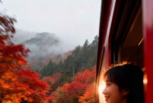 Fra Taipei eller Taichung: 2-dages tur til Alishan og Sun Moon Lake