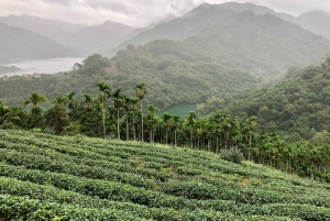 Z Tajpej: Jednodniowa wycieczka z przewodnikiem po kulturze herbaty Pinglin i Maokong