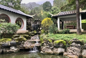Depuis Taipei : Visite guidée de la culture du thé de Pinglin et de Maokong