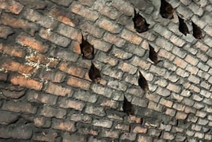 From Taipei: Private Sandiaoling & Makang Day Trip