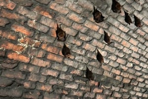 From Taipei: Private Sandiaoling & Makang Day Trip