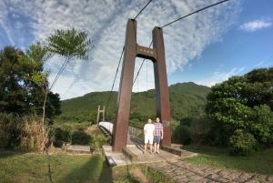 Vanuit Taipei: Privétour Yangmingshan Vulkaan en Natuur