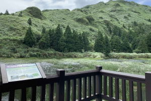 Från Taipei: Privat Yangmingshan vulkan- och naturtur