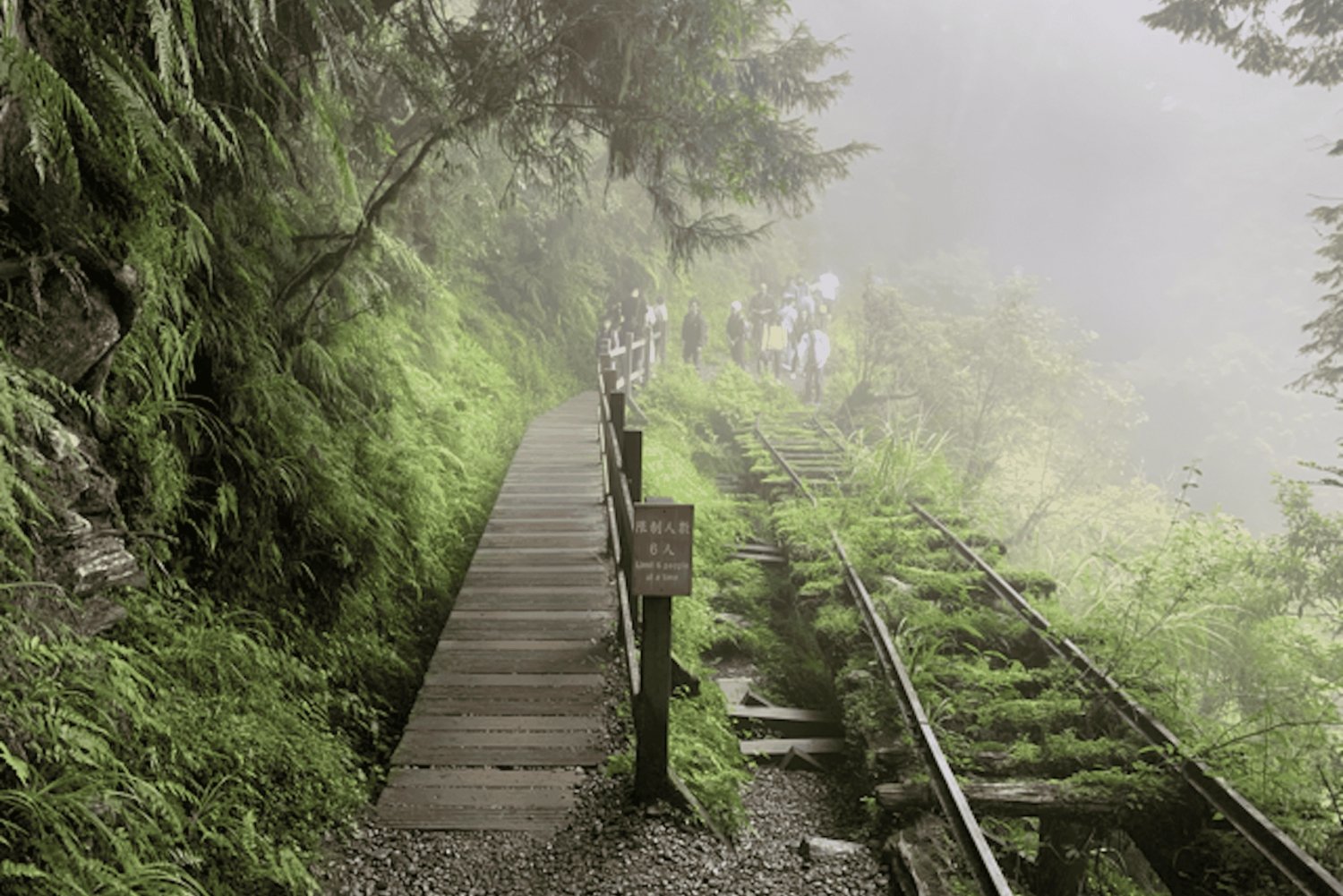 From Taipei: Taipingshan National Forest Private Day Tour