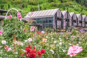 From Taipei: Water Activities Day Tour with Night Market