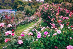 From Taipei: Water Activities Day Tour with Night Market