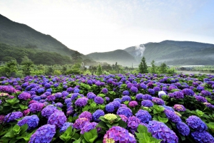 Taipei: Yangmingshan, Shifen, Jiufen & Yehliu Private Tour
