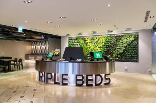 Green World Triple Beds