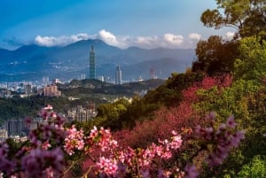🚢 Keelungin risteilijän valinta: Taipei Urban Adventure: VIP 8-Hr Taipei Urban Adventure