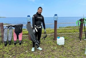 Tour di un giorno sulla costa nord-orientale: Picnic in SUP e pesca subacquea