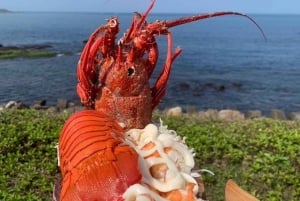 Koillisrannikon päiväretki: SUP ja keihäskalastus Piknik