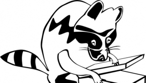 Raccoon Pizza