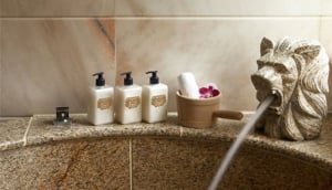 Royal Seasons Hot Spring Hotel Beitou