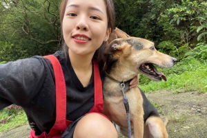 瑞芳：SPCAと 함께하는動物保護施設ボランティアツアー