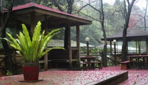 Silk Valley Resort
