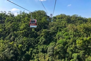 Sip & Savor: 🚠 Maokong Tea & Shenkeng Tofu Private Day Tour