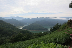 Taipei: Full-Day Pinglin and Elephant Mountain Tour
