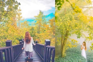 台北：台湾の見どころを巡る5日間ツアーをご案内します