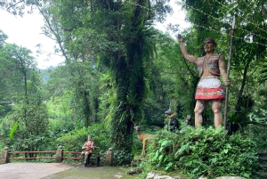 Taipei: 8 horas de tour particular em Wulai com Benz Vito