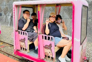Taipei: 8 horas de tour particular em Wulai com Benz Vito