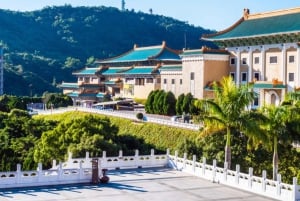 Taipei: Stadens höjdpunkter Privat sightseeing tur med guide