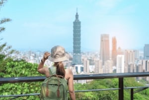 Taipei: Stadens höjdpunkter Privat sightseeing tur med guide