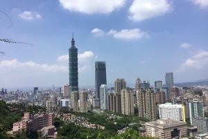 Taipei: Full-Day Pinglin and Elephant Mountain Tour