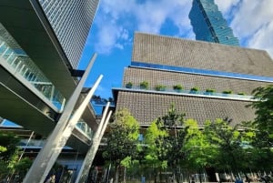 Taipei: Ganztägige oder halbtägige Sightseeingtour mit 101 Taipei